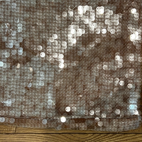 Madewell Sequin Skirt - Picture 3 of 7